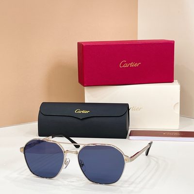 Cartier Sunglasses — 4