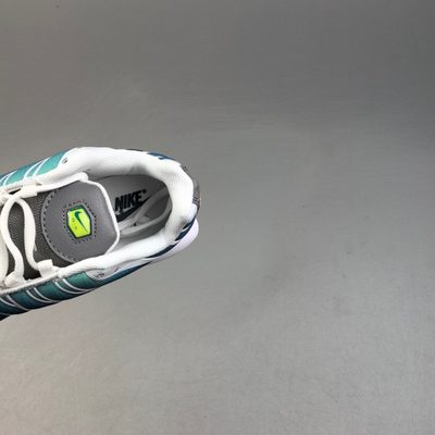 Nike Air Max Plus trainers — 8