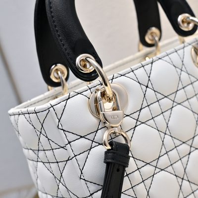 Dior Bag — 6