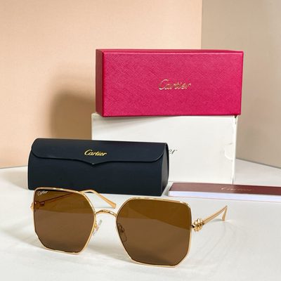 Cartier Sunglasses — 6