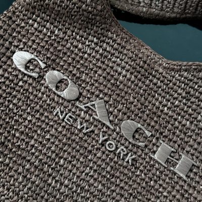 Coach Bag — 7