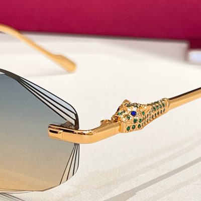 Cartier Sunglasses — 9