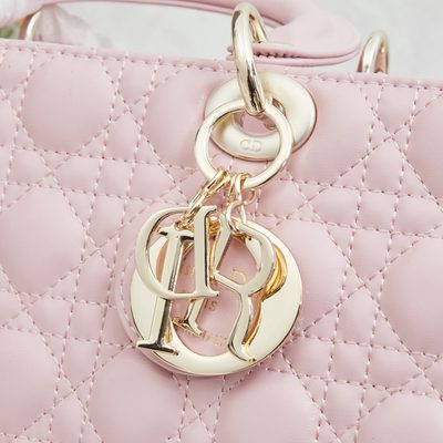 Dior Bag — 6
