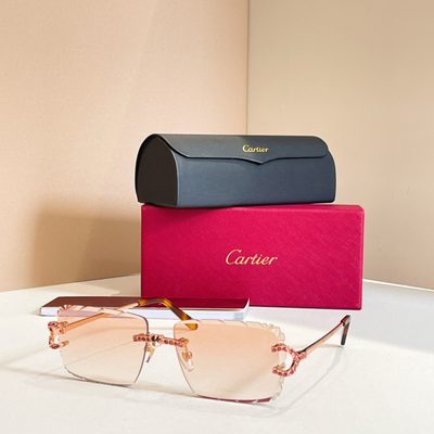 Cartier Sunglasses — 3