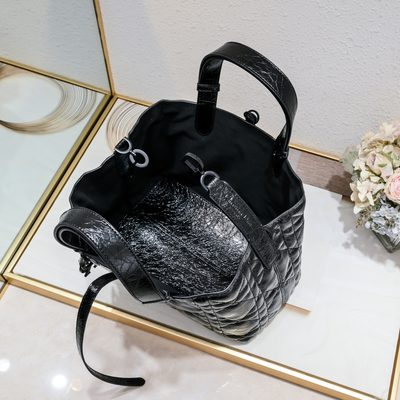 Dior Bag — 9