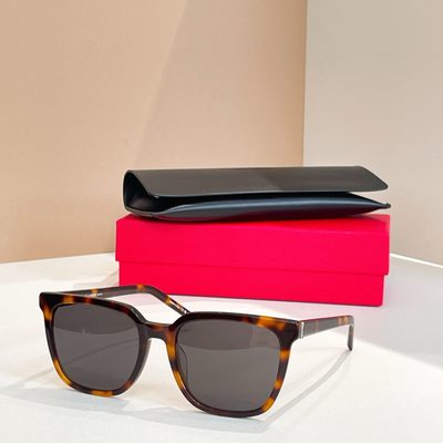 YSL Sunglasses — 4
