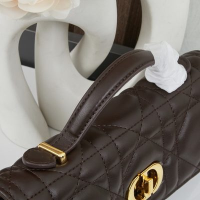 Dior Bag — 7