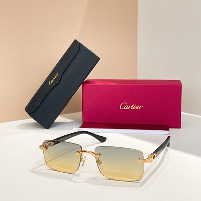 Cartier Sunglasses — 4