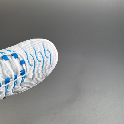Nike Air Max Plus trainers — 7