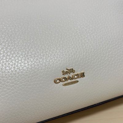 Coach Bag — 6