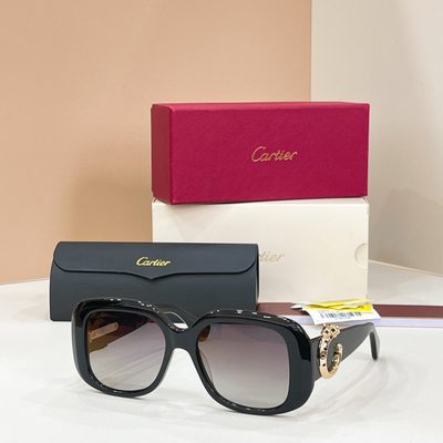 Cartier Sunglasses — 3