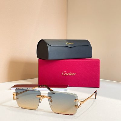 Cartier Sunglasses — 8