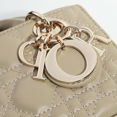 Dior Bag — 4