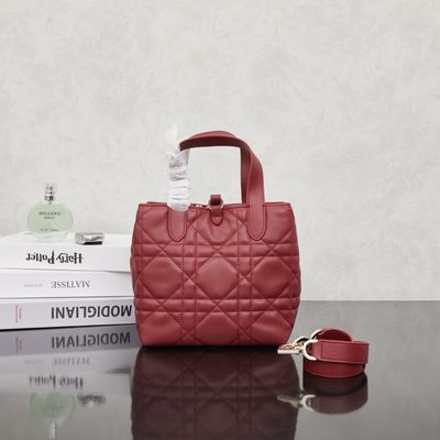Dior Bag — 3