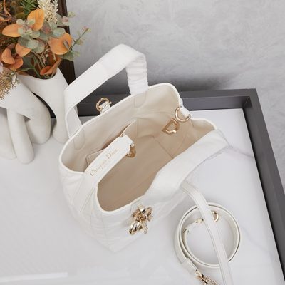 Dior Bag — 10