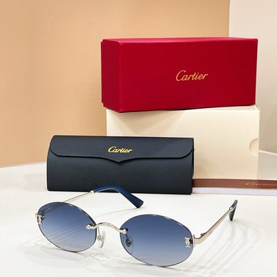 Cartier Sunglasses — 4