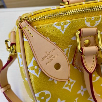 Louis Vuitton Bag — 5