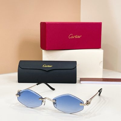 Cartier Sunglasses — 4