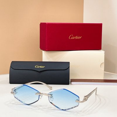 Cartier Sunglasses — 6