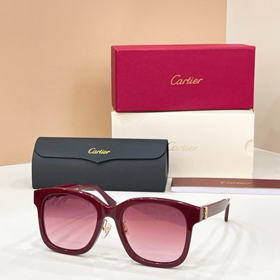 Cartier Sunglasses — 5