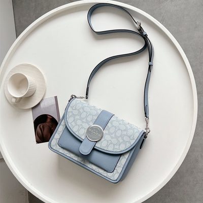 Coach Bag — 17
