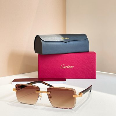 Cartier Sunglasses — 5