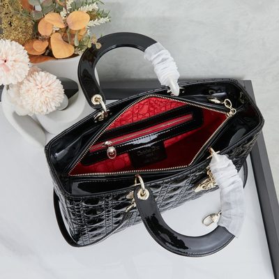 Dior Bag — 9