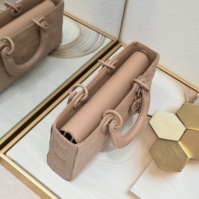 Dior Bag — 7