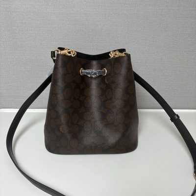Coach Bag — 3
