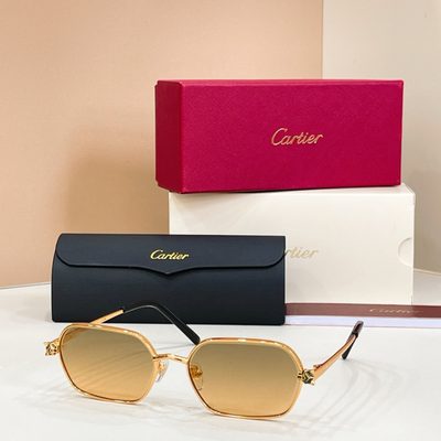 Cartier Sunglasses — 6