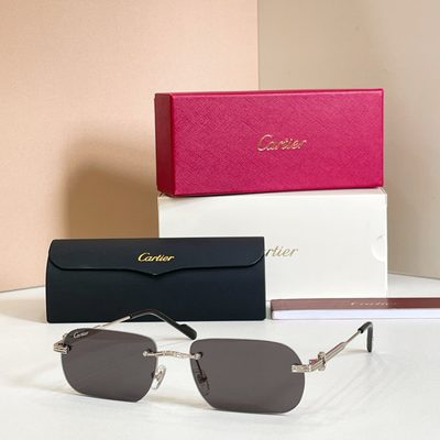 Cartier Sunglasses — 7