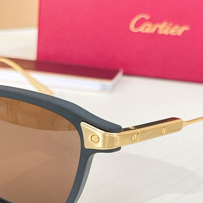 Cartier Sunglasses — 8