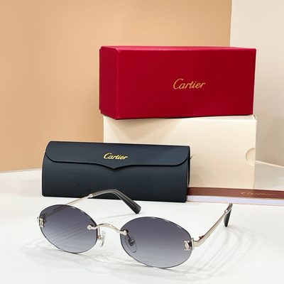 Cartier Sunglasses — 8