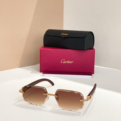 Cartier Sunglasses — 4