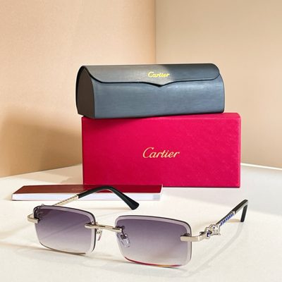 Cartier Sunglasses — 6