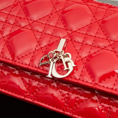 Dior Bag — 4