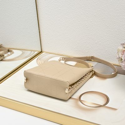 Dior Bag — 7