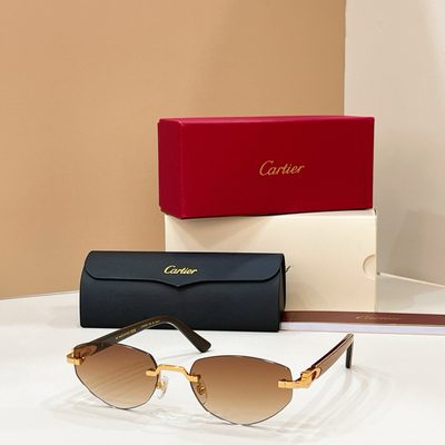 Cartier Sunglasses — 5