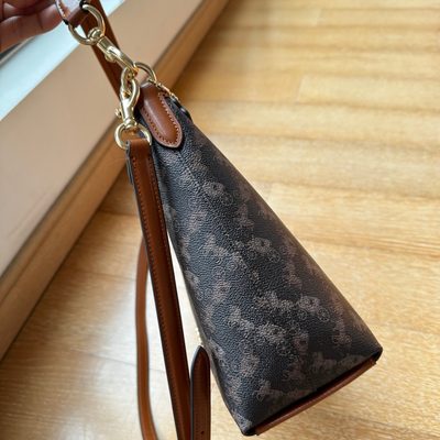 Coach Bag — 3