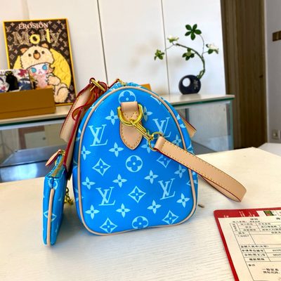 Louis Vuitton Bag — 6