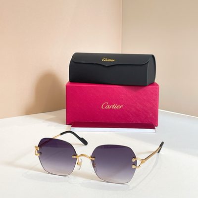 Cartier Sunglasses — 4