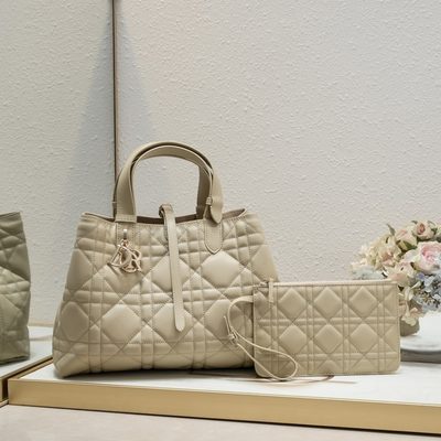 Dior Bag