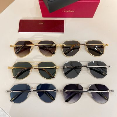 Cartier Sunglasses — 8