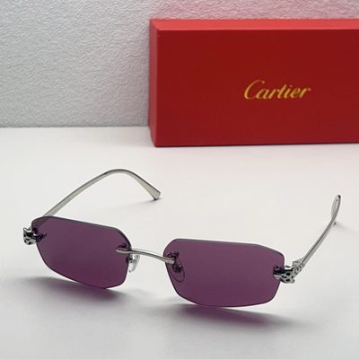 Cartier Sunglasses — 7