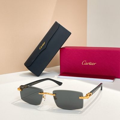 Cartier Sunglasses — 5