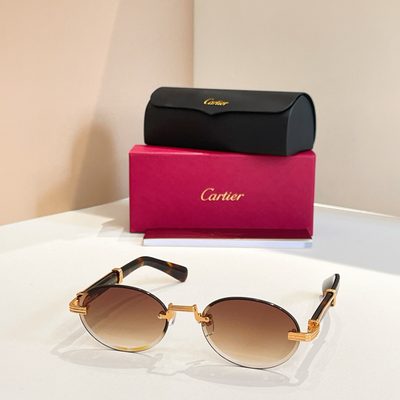 Cartier Sunglasses — 6