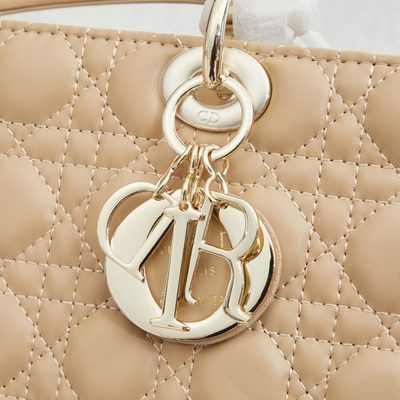 Dior Bag — 5