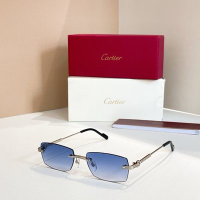 Cartier Sunglasses — 8