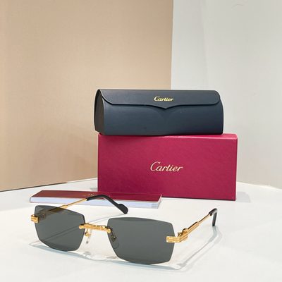 Cartier Sunglasses — 7