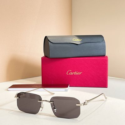 Cartier Sunglasses — 5